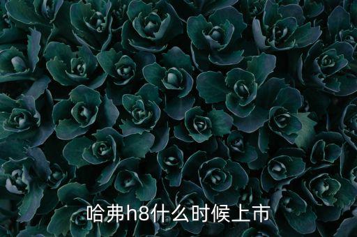 哈佛h8什么時(shí)候上市的，哈弗h8什么時(shí)候上市