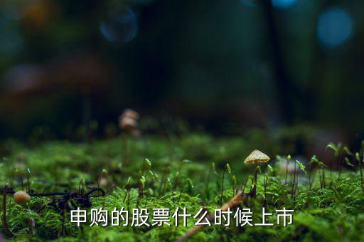 四方申購(gòu)什么時(shí)候上市，申購(gòu)的新股什么時(shí)候上市交易