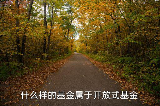 開放式基金是什么，什么叫做開放式基金