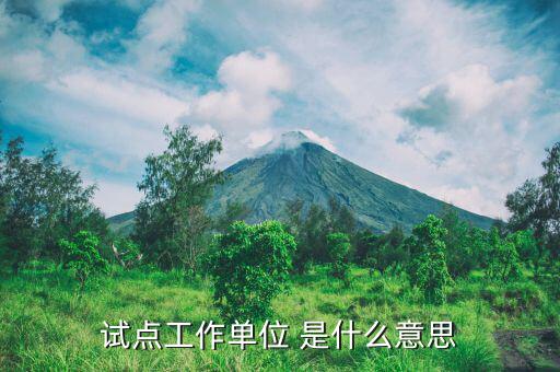 軍區(qū)采購試點(diǎn)是什么意思，試點(diǎn)是什么意思
