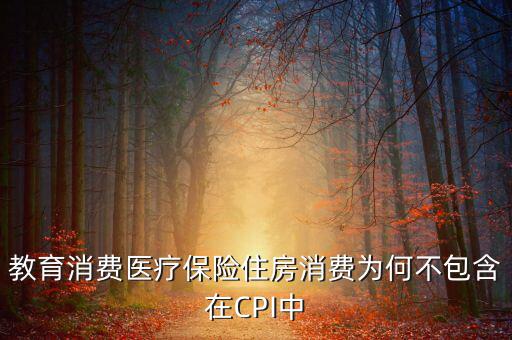 房價為什么不納入cpi，為什么在中國房價不算入CPI消費水平也就是物價里面