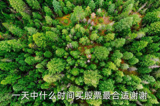 一天中什么時間買股票最合適謝謝