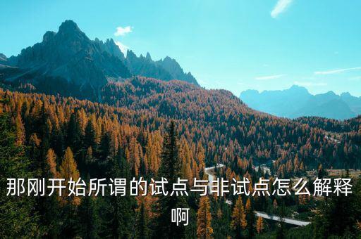 那剛開(kāi)始所謂的試點(diǎn)與非試點(diǎn)怎么解釋啊