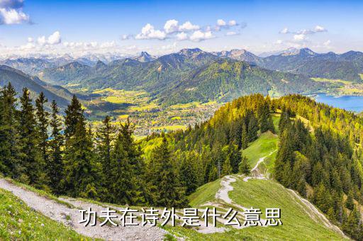 為什么功夫在詩外，功夫在詩外是什么意思