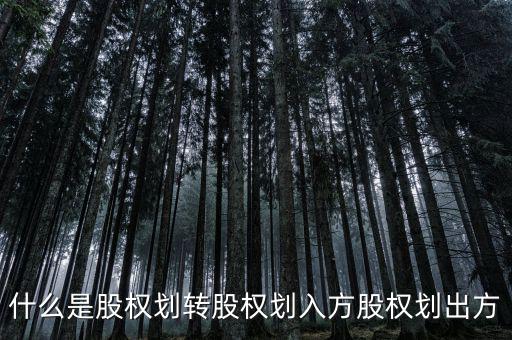 劃轉(zhuǎn)是什么意思，什么是股權(quán)劃轉(zhuǎn)股權(quán)劃入方股權(quán)劃出方