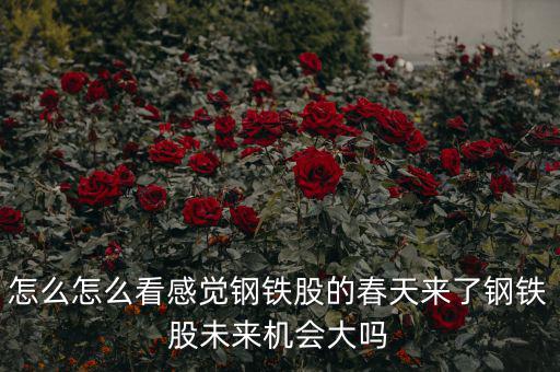包鋼集團(tuán)是什么性質(zhì)，中國包頭大企業(yè)都有哪些什么性質(zhì)