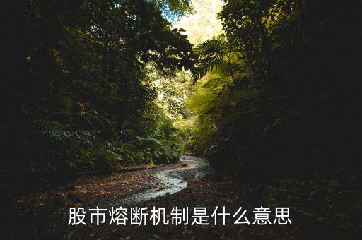 熔斷機制是什么意思，熔斷機制怎么理解啊