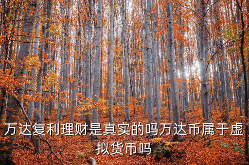 萬達貨幣是什么，萬達復(fù)利理財是真實的嗎萬達幣屬于虛擬貨幣嗎