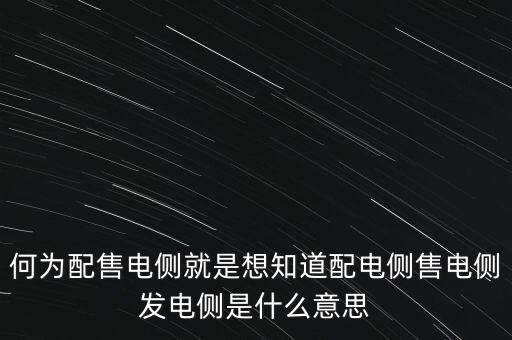 什么是發(fā)電側(cè)，發(fā)電側(cè)和變電側(cè)的側(cè)是什么意思啊