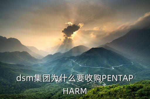 喜游國(guó)際被什么公司并購(gòu)，DSM據(jù)說收購(gòu)了一個(gè)特牛的公司是什么大家有知道的嗎