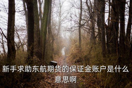 金保證財(cái)富管理和東航什么關(guān)系，國(guó)鼎旗下的可溯貸資金安全嗎