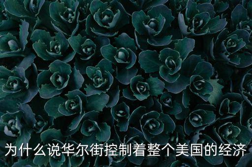 美國(guó)為什么離不開華爾街，為什么說華爾街控制著整個(gè)美國(guó)的經(jīng)濟(jì)