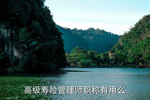 保險(xiǎn)高管證有什么用，朋友讓我?guī)退急ｋU(xiǎn)高管證說考過了我就是他公司的法人這兩個(gè)