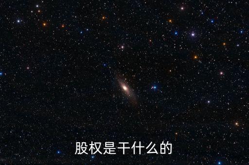 股權是干什么的