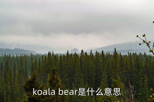牛壓熊什么意思，tady bear是什么意思