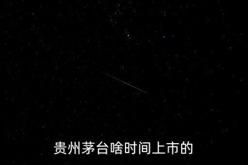 貴州茅臺(tái)什么時(shí)候上市，貴州茅臺(tái)啥時(shí)間上市的
