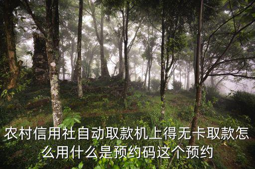 農(nóng)行預(yù)約碼是什么，農(nóng)商銀行預(yù)約取款預(yù)約碼是什么