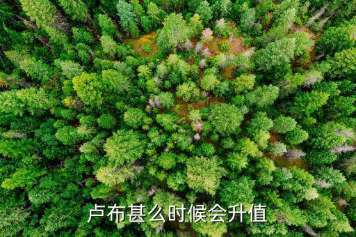 盧布什么時(shí)候升值，盧布甚么時(shí)候會(huì)升值