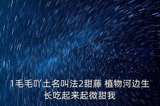 安徽有個什么林紙業(yè)，坐幾路公交車去安徽華泰林漿紙有限公司