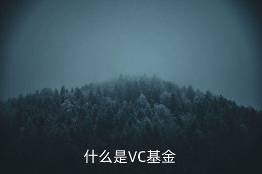 vc基金是什么，什么叫VC基金