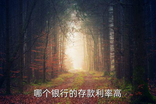 錢存什么銀行利息高，哪個(gè)銀行的存款利率高
