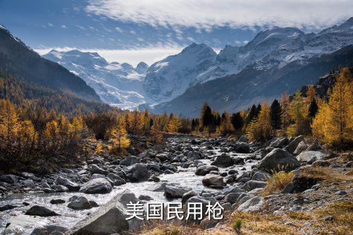 美國(guó)1994年禁什么槍?zhuān)绹?guó)民用槍