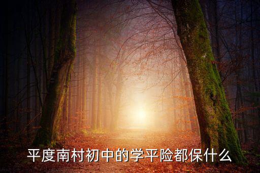 學(xué)平險(xiǎn)保些什么，中國(guó)人壽60元的學(xué)平險(xiǎn)保什么