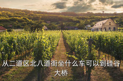 硅谷有什么橋，長春西安大路要去硅谷大橋要坐的公交車