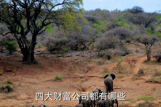 重啤集團還有什么資產(chǎn)，四大財富公司都有哪些