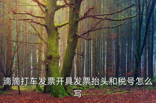 滴滴打車(chē)發(fā)票開(kāi)具發(fā)票抬頭和稅號(hào)怎么寫(xiě)