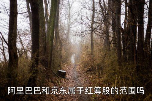 紅籌股是什么意思，權重股紅籌股