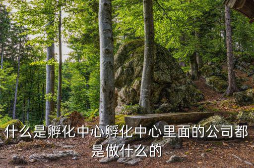 信隆實業(yè)是做什么的，什么是孵化中心孵化中心里面的公司都是做什么的