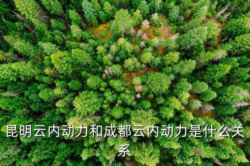 云南云內(nèi)動(dòng)力是什么性質(zhì)，什么是云內(nèi)發(fā)動(dòng)機(jī)