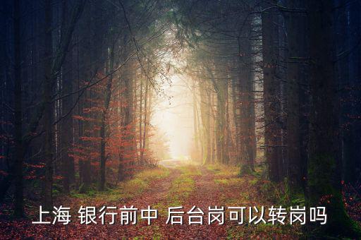 銀行前臺(tái)怎么轉(zhuǎn)后臺(tái),銀行分為中央銀行和政策銀行、商業(yè)銀行等