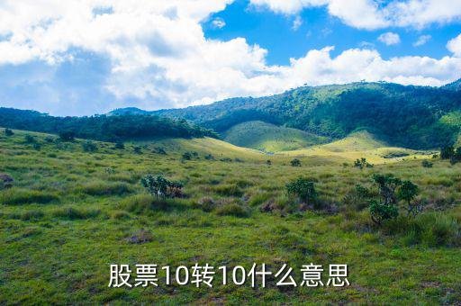 股票10送10轉(zhuǎn)10是什么意思，股市什么是10送10