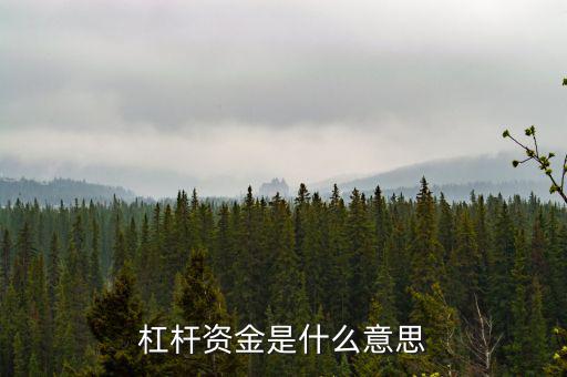 資金杠桿是什么意思，投資里面的杠桿是什么意思