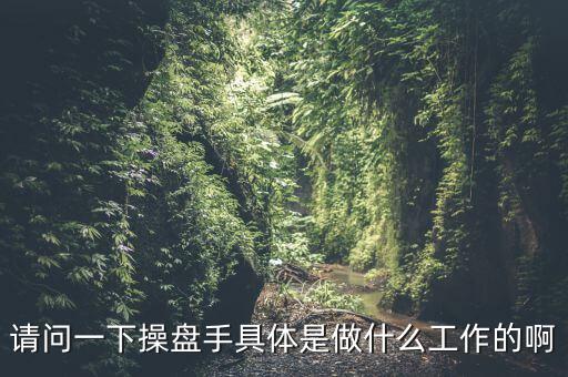 請(qǐng)問(wèn)一下操盤手具體是做什么工作的啊