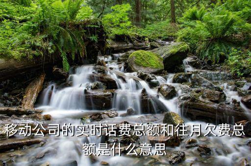 移動(dòng)賬單總額什么意思，移動(dòng)公司的帳單總額與實(shí)時(shí)話費(fèi)區(qū)別