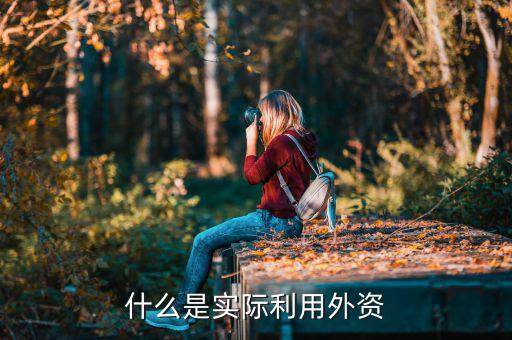 什么叫實際使用外資，什么是實際利用外資