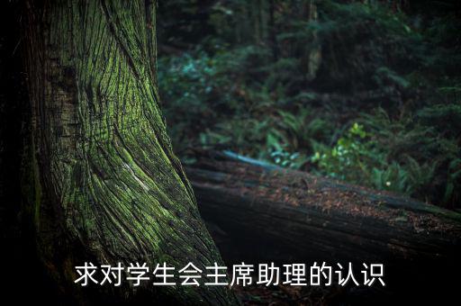 求對學生會主席助理的認識