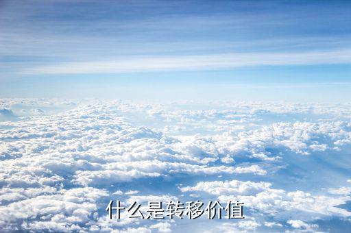 新單價(jià)值是什么意思，天貓尚新價(jià)是什么意思