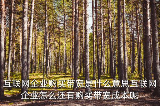 帶寬采購是什么意思，請(qǐng)問帶寬出口批發(fā)是什么出口的定義是 麻煩幫幫忙