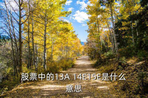 市盈率13a什么意思，財(cái)務(wù)報(bào)表中13A 14E 是什么意思