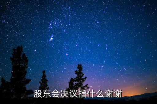 什么是股東會決議，有限責任公司決議叫股東會會決議那么國有企業(yè)決議應(yīng)該叫什