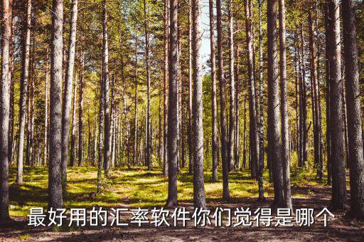 外匯用什么軟件，什么外匯交易軟件最好