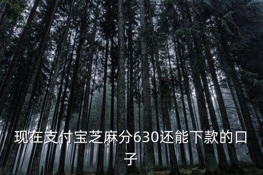 支付寶口子是什么意思，支付寶口子是什么意思