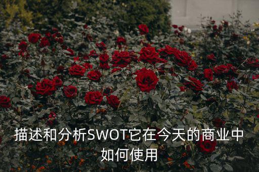 st戰(zhàn)略是什么意思，ST戰(zhàn)略是什么意思