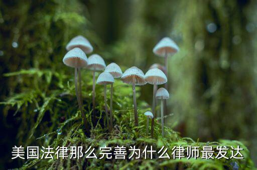 為什么美國賠償那么高，美國人為什么那么高