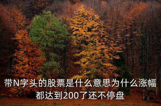 n派思是什么股票，帶N字頭的股票是什么意思為什么漲幅都達到200了還不停盤