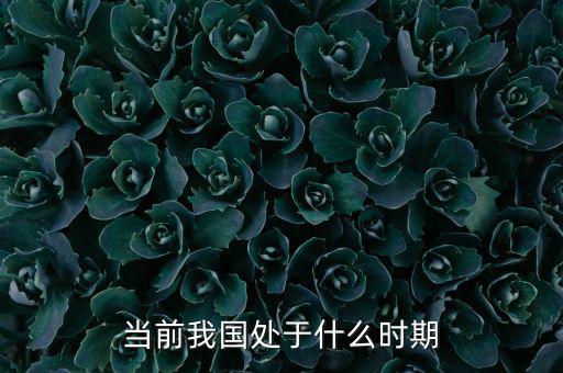 當(dāng)前我國處于什么時(shí)期